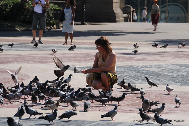 DSC_0005.JPG
