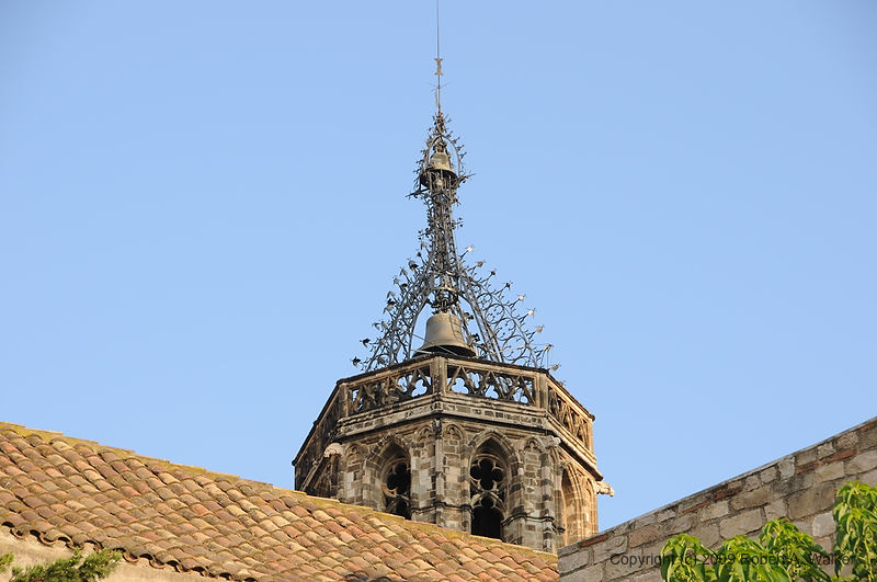 DSC_0125.NEF.jpg