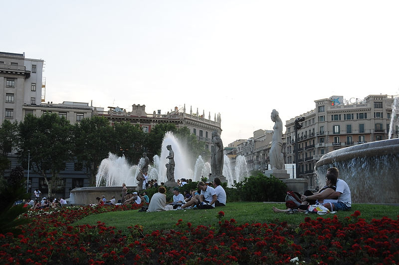DSC_0131.NEF.jpg