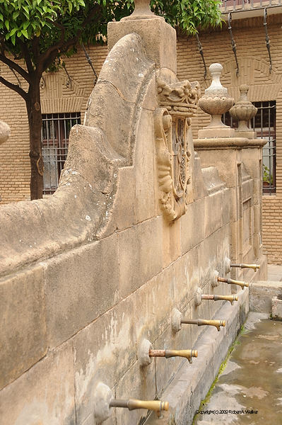 DSC_0379.JPG