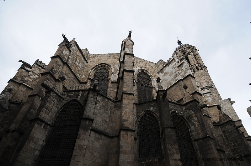 DSC_0413.JPG