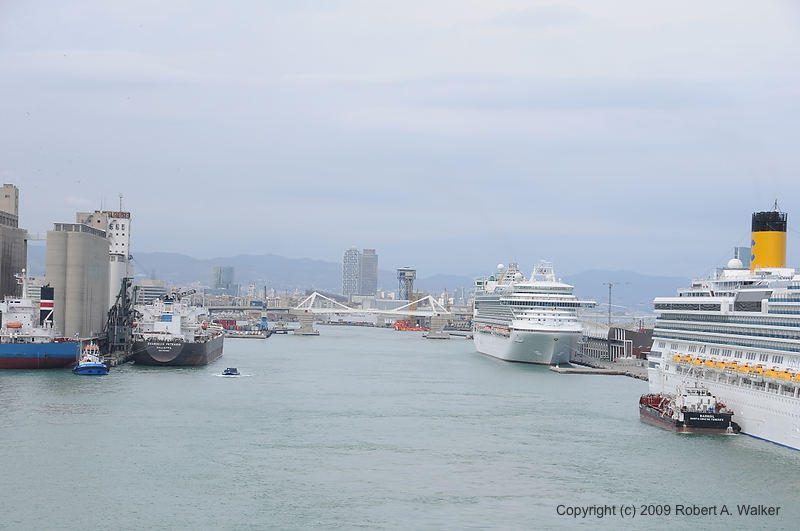 DSC_0463.JPG