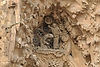 Nativity Facade