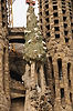 Cypress Tree w/ Doves