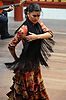 Flamenco Show