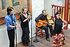 Flamenco Show