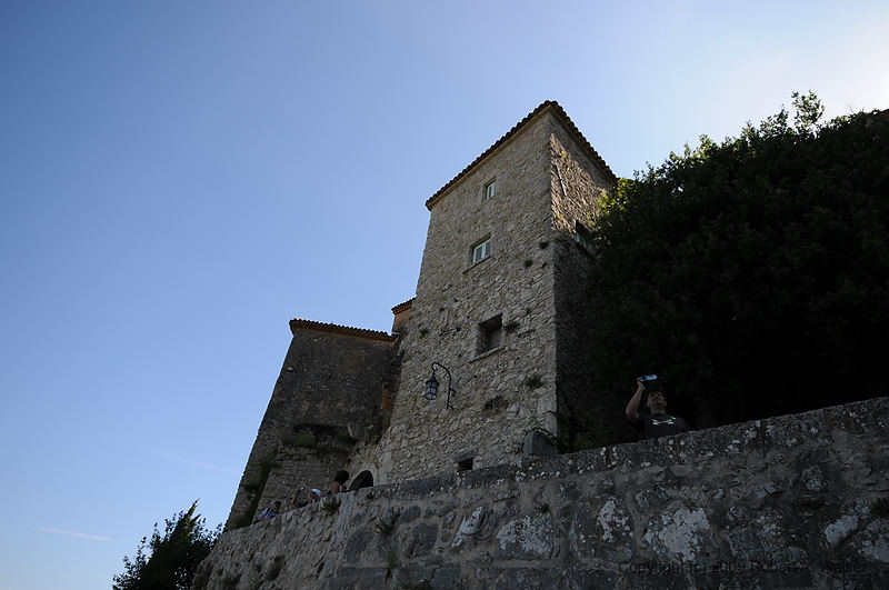 DSC_0824.JPG