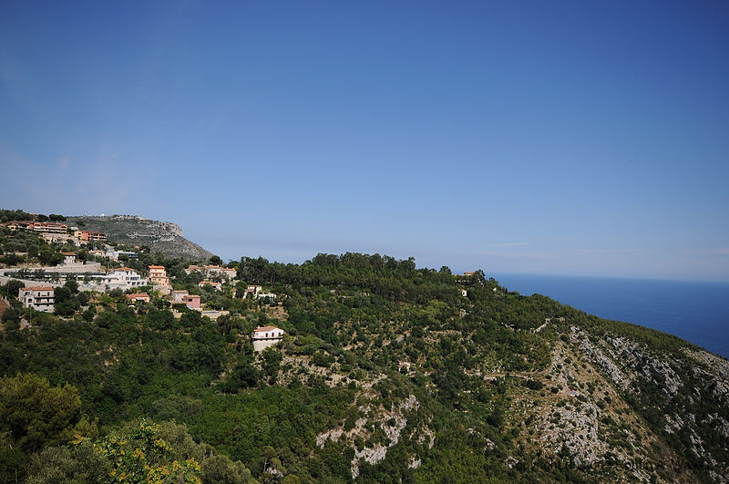 DSC_0825.JPG