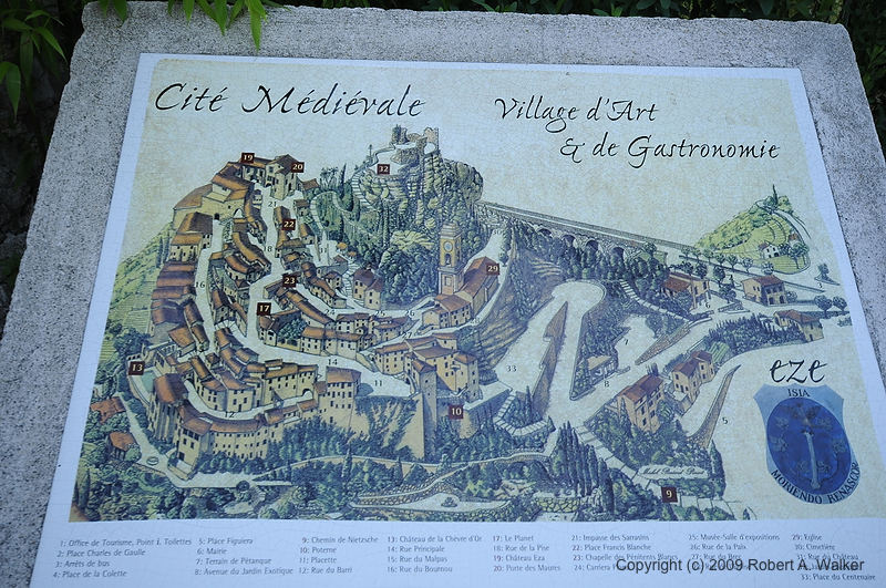 DSC_0826.JPG