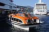 Oosterdam Tender