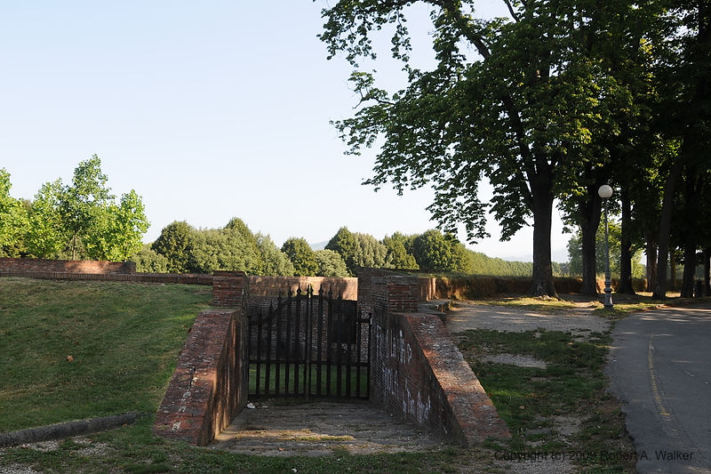 DSC_0953.JPG