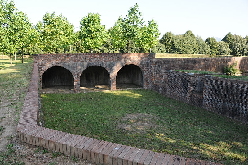 DSC_0954.JPG