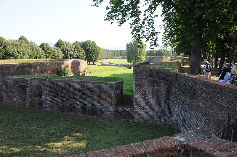 DSC_0955.JPG