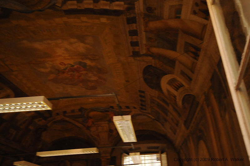 DSC_1011.NEF.jpg