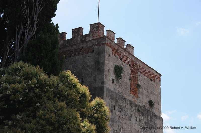 DSC_1094.JPG