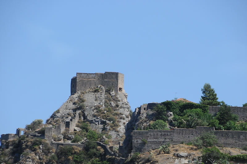 DSC_1463.JPG