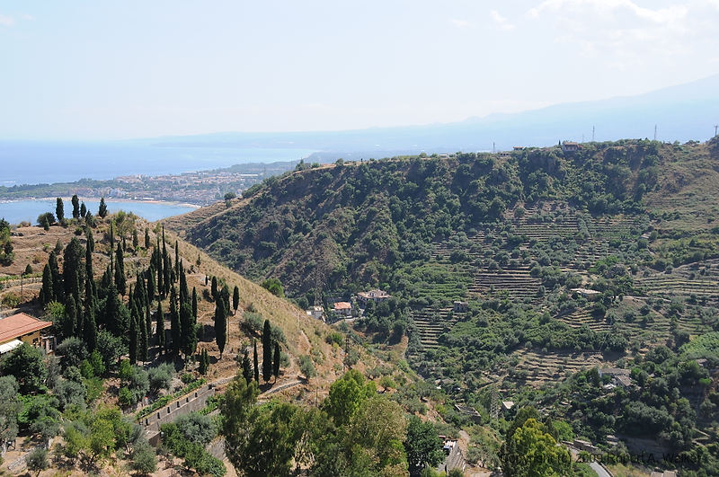 DSC_1477.JPG
