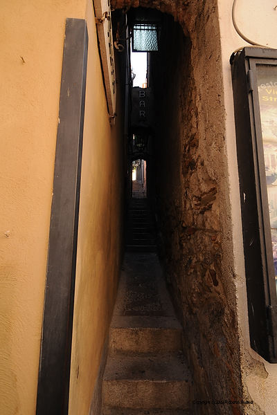 DSC_1513.JPG