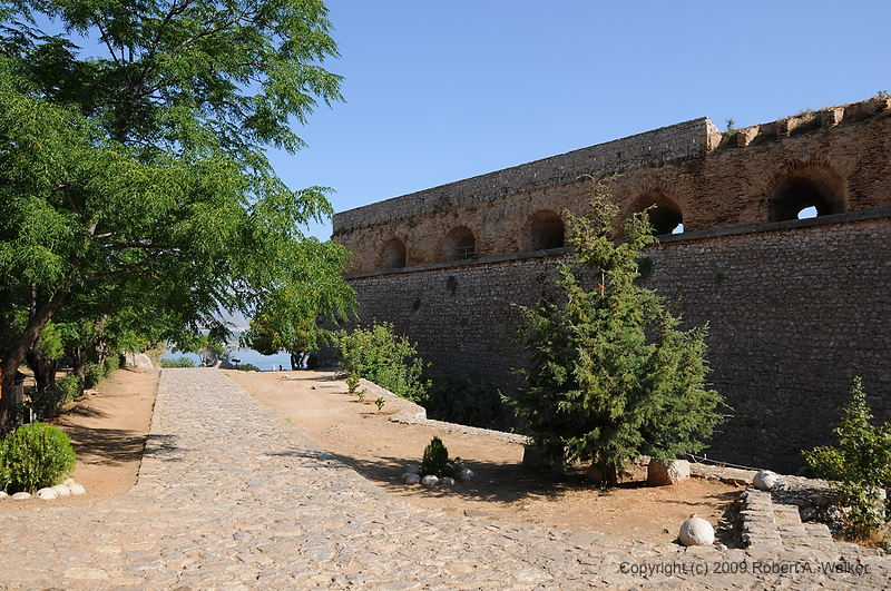 DSC_1666.JPG