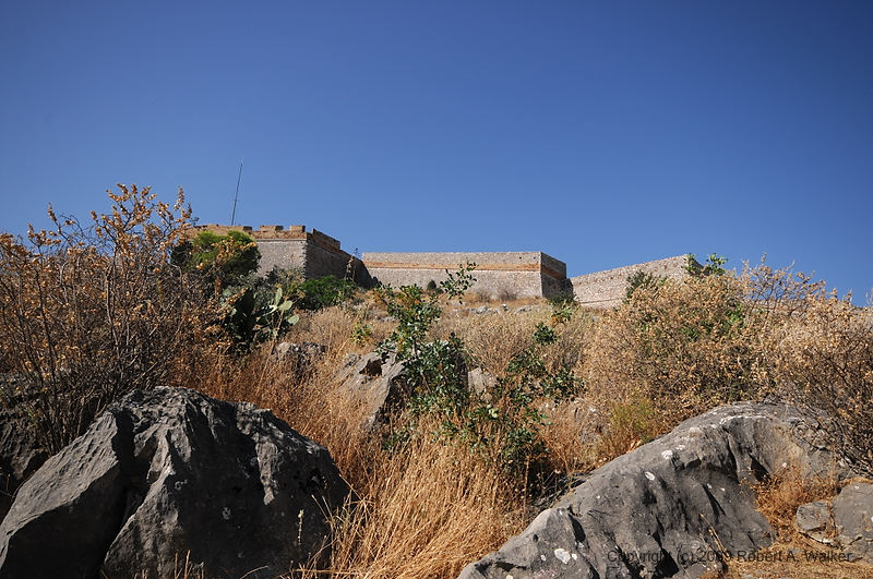 DSC_1672.JPG