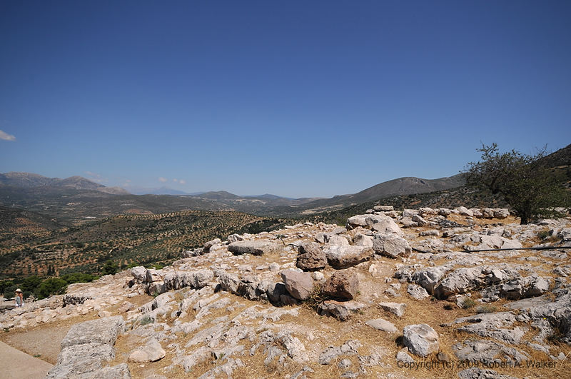 DSC_1764.NEF.jpg
