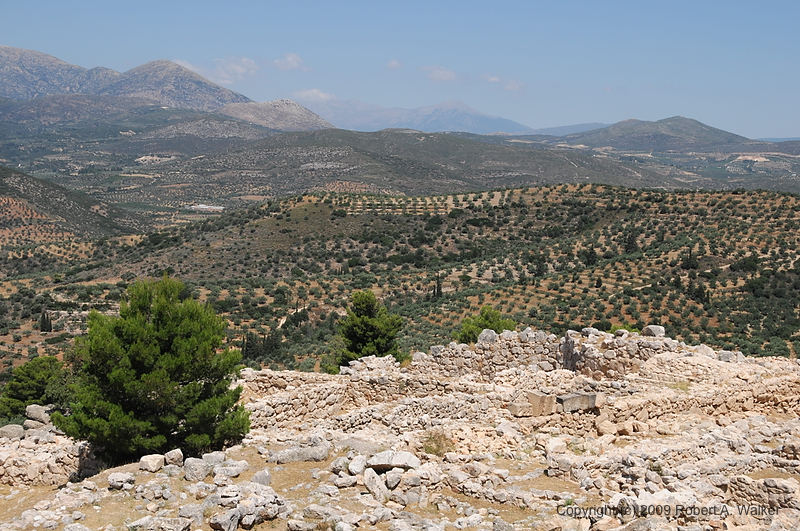 DSC_1774.NEF.jpg
