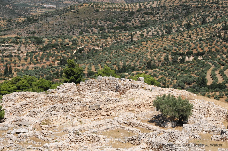 DSC_1775.NEF.jpg