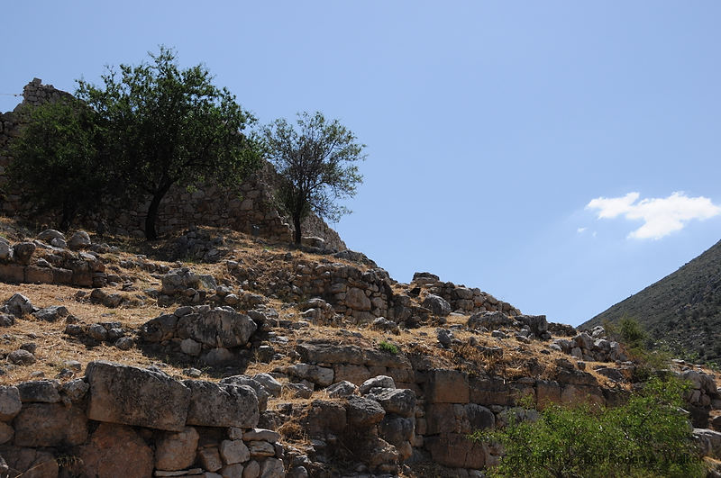 DSC_1781.NEF.jpg