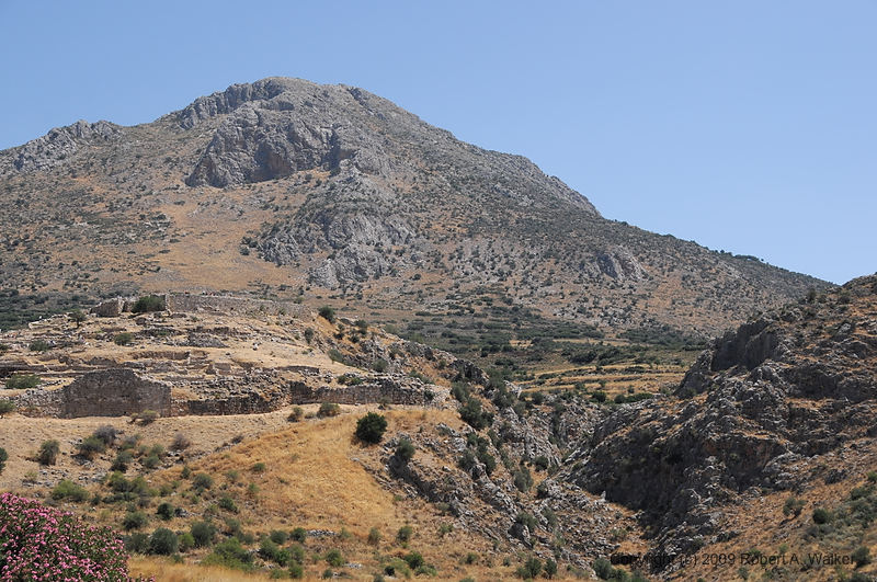 DSC_1791.NEF.jpg