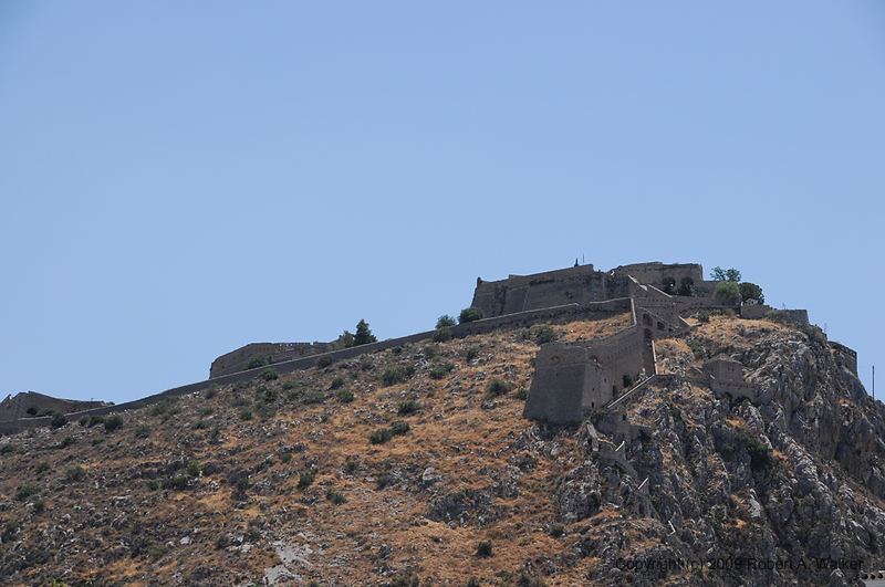 DSC_1819.NEF.jpg