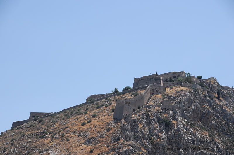 DSC_1830.NEF.jpg