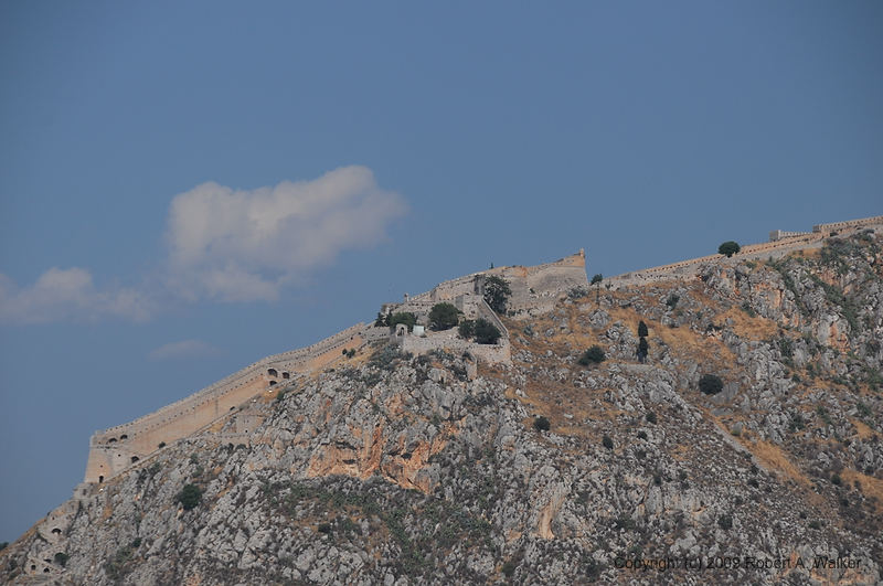 DSC_1866.NEF.jpg