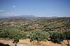 Plain of Argolis