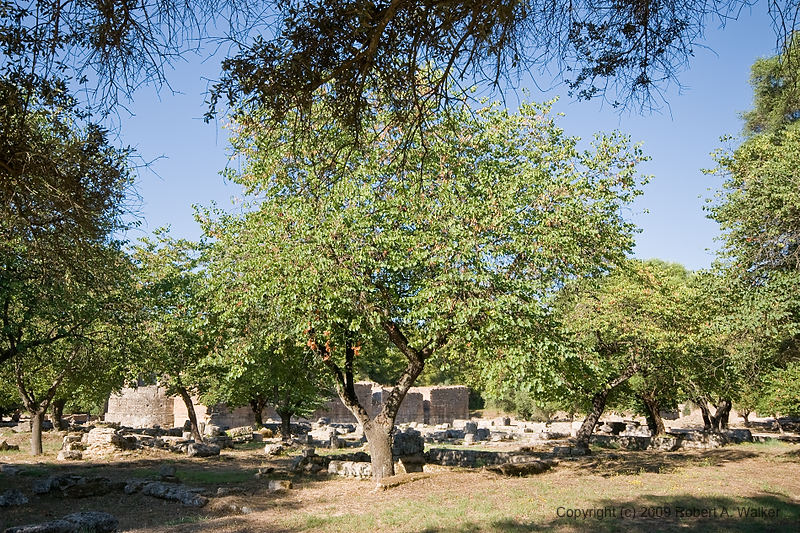 DSC_1921.jpg