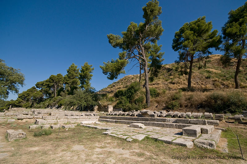 DSC_1962.jpg