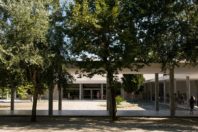 DSC_2000.jpg