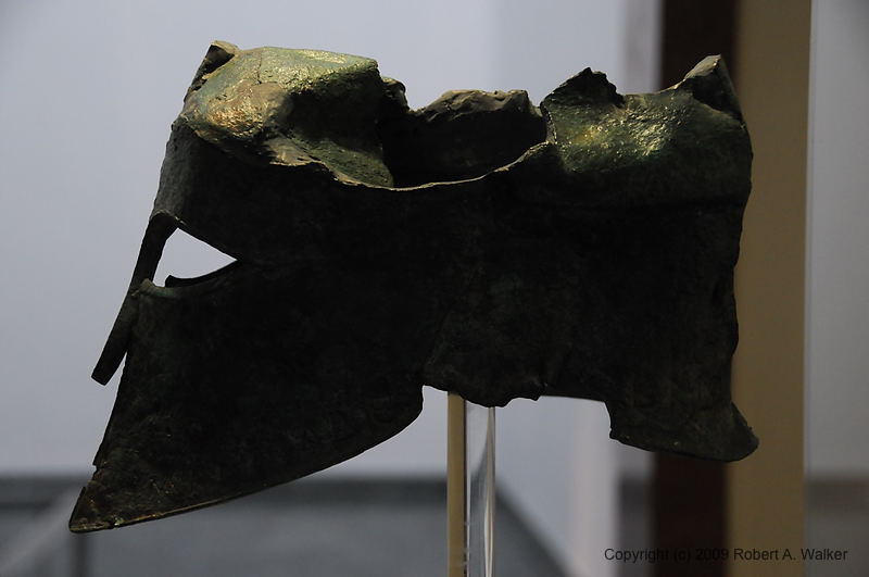 DSC_2011.NEF.jpg