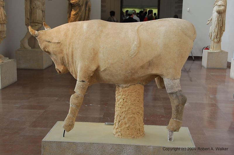 DSC_2040.NEF.jpg