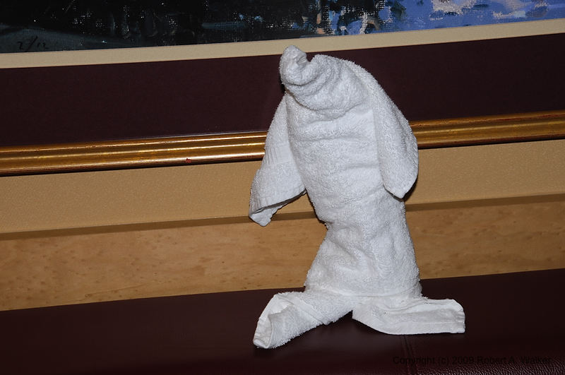 DSC_2109.NEF.jpg