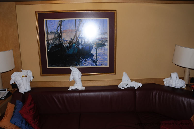DSC_2110.NEF.jpg