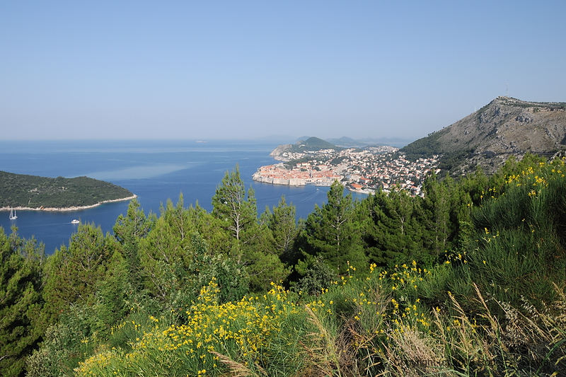 DSC_2415.NEF.jpg