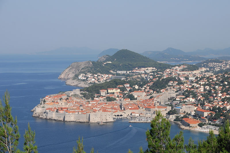 DSC_2417.NEF.jpg