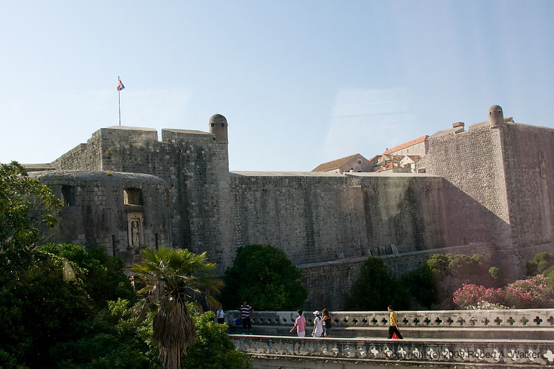 DSC_2428.jpg