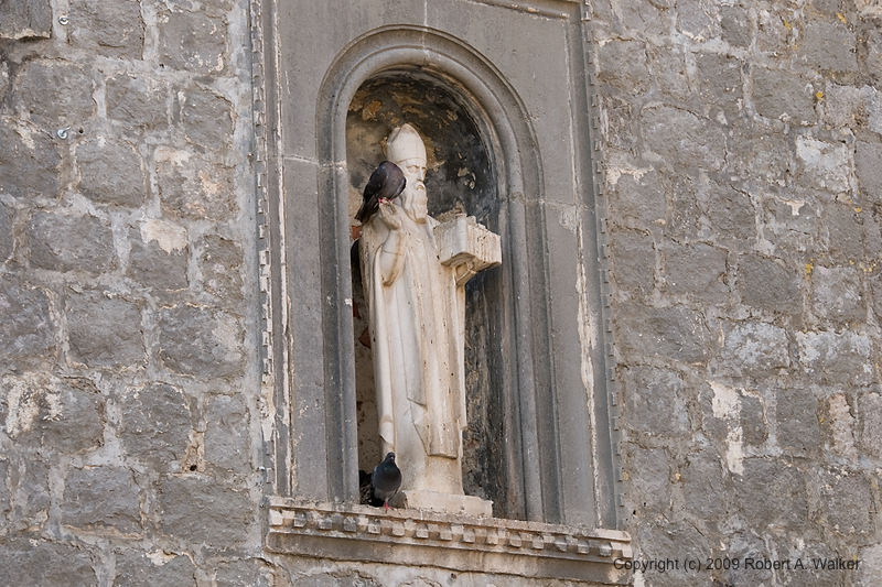 DSC_2444.jpg