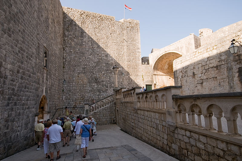 DSC_2446.jpg