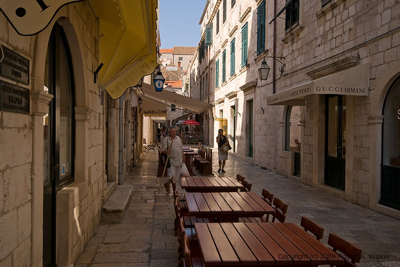 DSC_2456.jpg