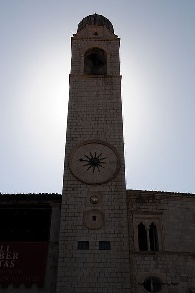 DSC_2485.NEF.jpg
