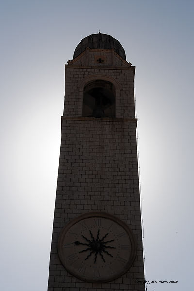 DSC_2486.NEF.jpg