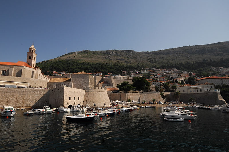 DSC_2495.NEF.jpg