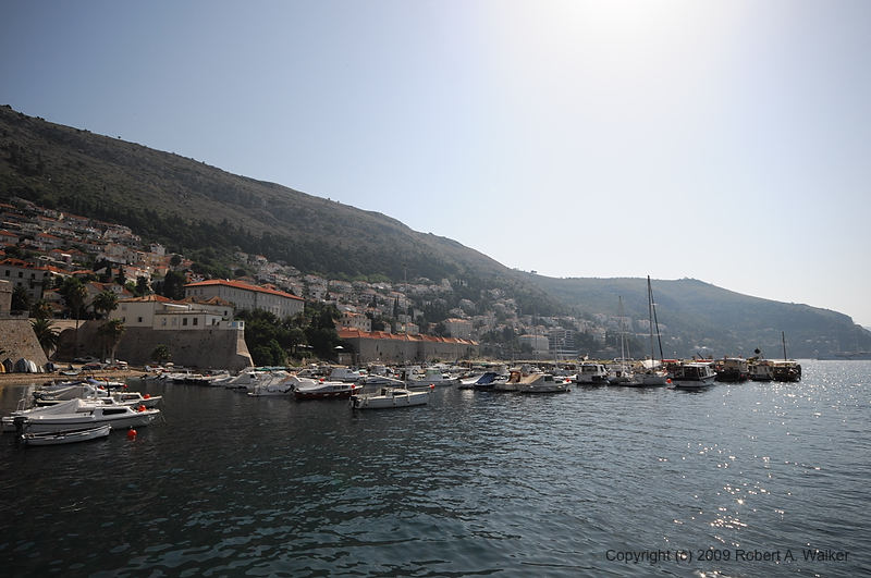 DSC_2503.NEF.jpg